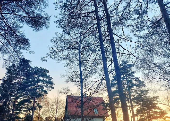 Apartman Tripkovic