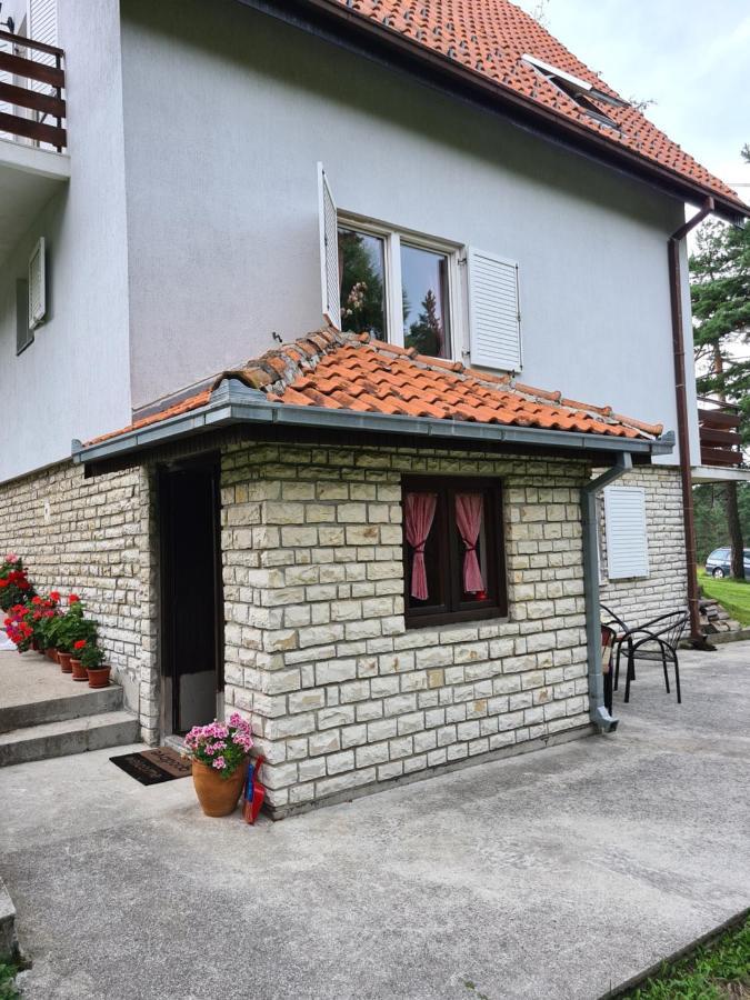 Apartment Tripkovic Divcibare