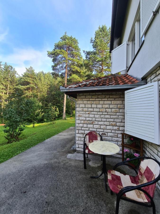 Apartment Tripkovic