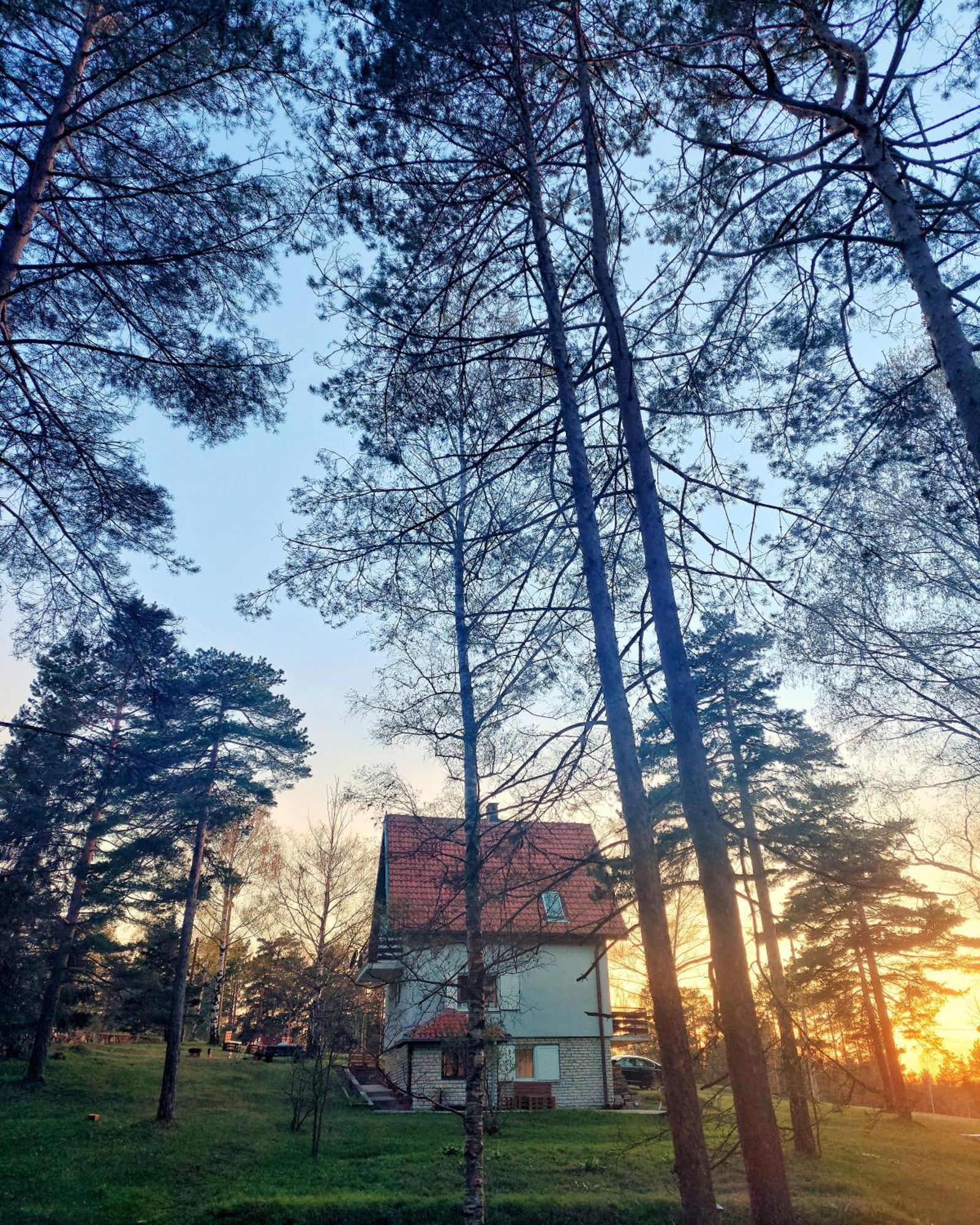 Tripkovic